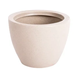 33455